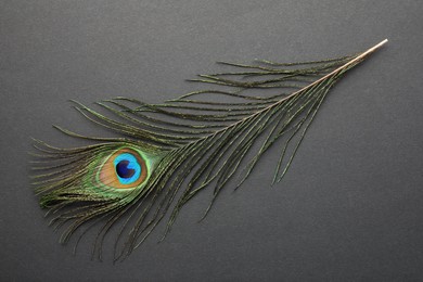 Photo of One beautiful peacock feather on dark grey background, top view