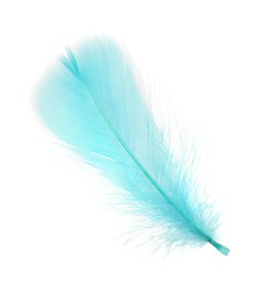 Photo of Fluffy light turquoise feather isolated on white