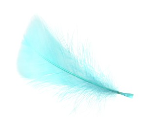 Photo of Fluffy light turquoise feather isolated on white