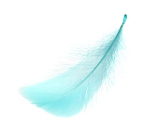 Photo of Fluffy light turquoise feather isolated on white