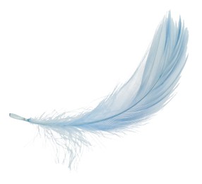 Photo of One fluffy light feather isolated on white