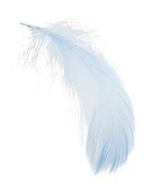 Photo of One fluffy light feather isolated on white