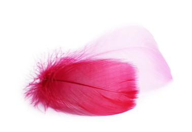 Photo of Two fluffy light feathers isolated on white