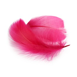 Photo of Two fluffy light feathers isolated on white