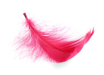 Photo of One fluffy light feather isolated on white