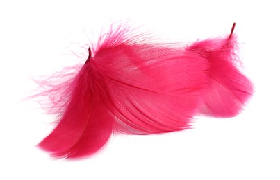 Photo of Three fluffy light feathers isolated on white