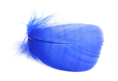 Photo of One fluffy light feather isolated on white