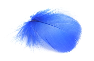 Photo of One fluffy light feather isolated on white