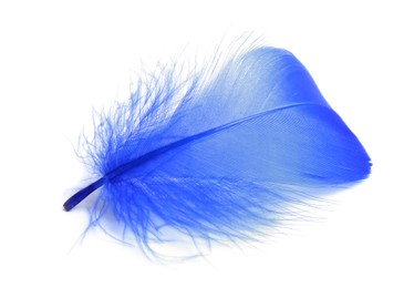 Photo of One fluffy light feather isolated on white