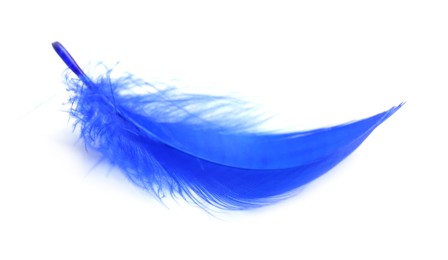 Photo of One fluffy light feather isolated on white