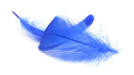 Photo of Two fluffy light feathers isolated on white