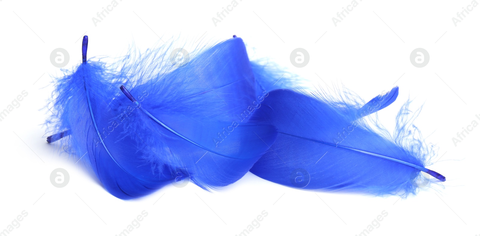 Photo of Pile of fluffy light feathers isolated on white