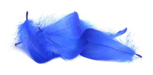 Photo of Pile of fluffy light feathers isolated on white