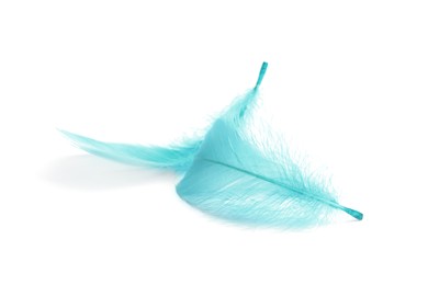 Photo of Two fluffy light feathers isolated on white