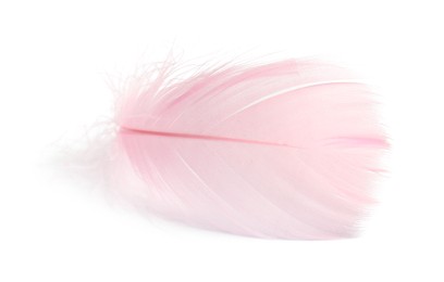 Photo of One fluffy light feather isolated on white