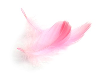 Photo of Two fluffy light feathers isolated on white