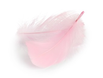 Photo of Two fluffy light feathers isolated on white