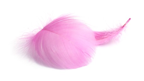 Photo of Two fluffy light feathers isolated on white