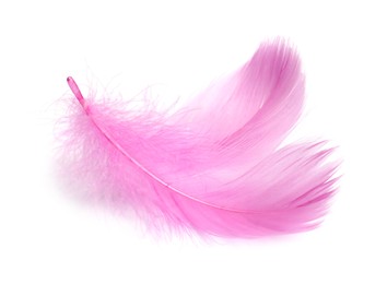 Two fluffy light feathers isolated on white