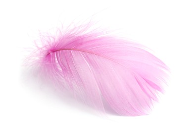 One fluffy light feather isolated on white