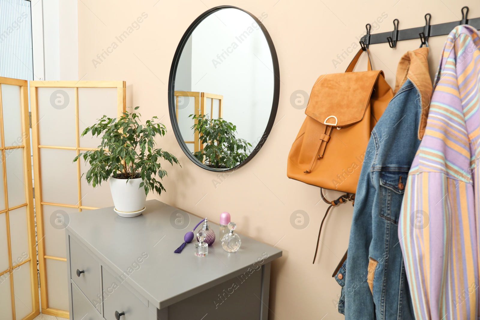 Photo of Coat rack with clothes, mirror, houseplant and chest of drawers in hallway. Interior design