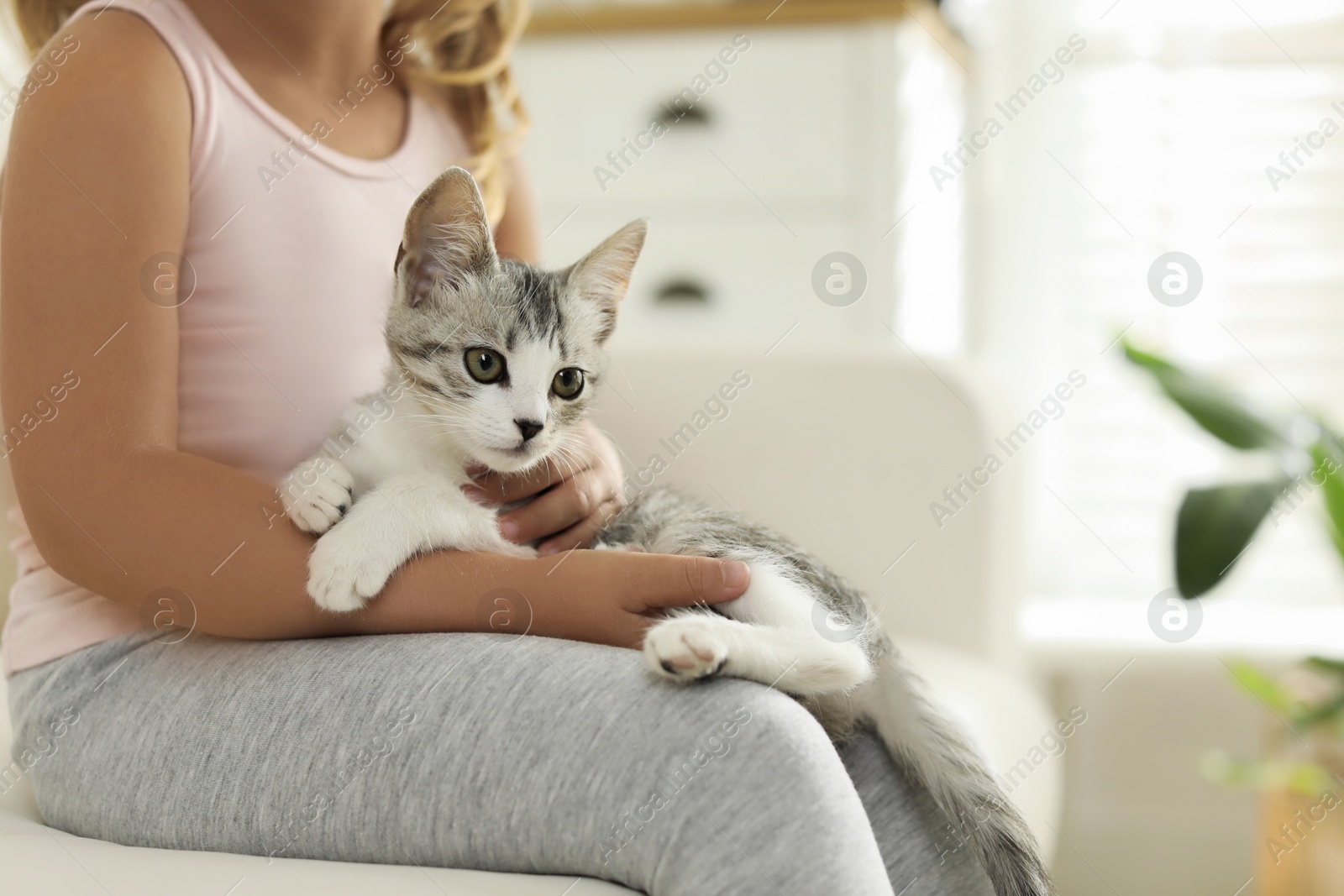 Photo of Little girl with cute kitten at home, closeup