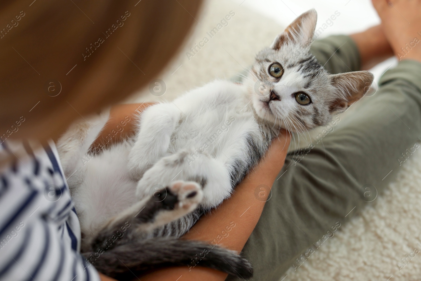 Photo of Little girl with cute kitten at home, closeup