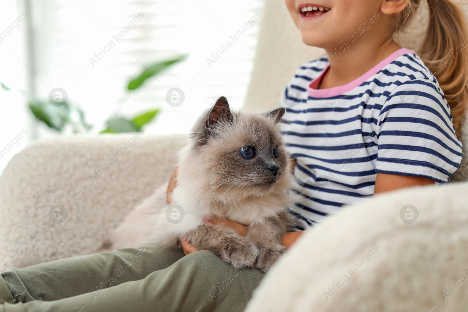 Photo of Little girl with cute kitten at home, closeup