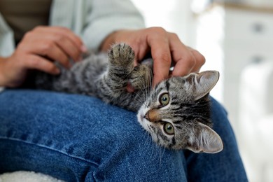 Photo of Woman with cute kitten at home, closeup