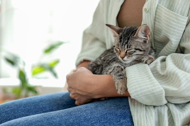 Photo of Woman with cute kitten at home, closeup