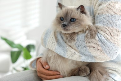 Photo of Woman with cute kitten at home, closeup