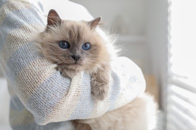 Photo of Woman with cute kitten at home, closeup