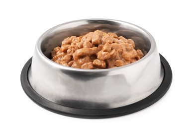 Photo of Wet pet food in feeding bowl isolated on white