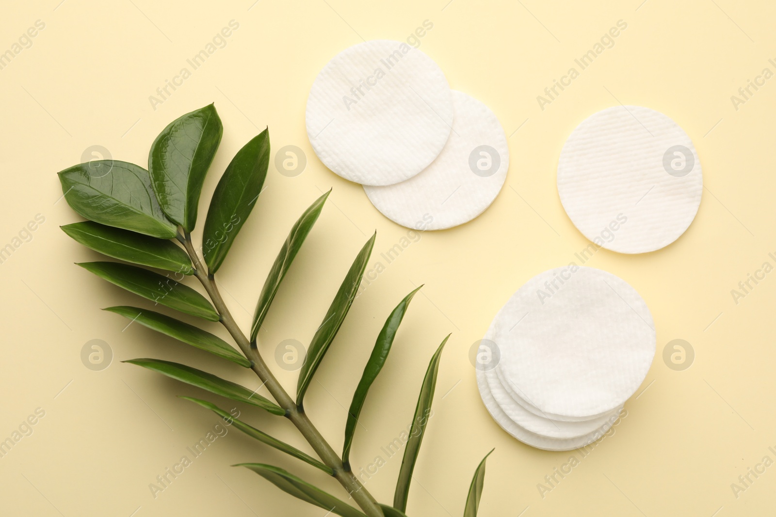 Photo of Cotton pads and green branch on beige background, flat lay