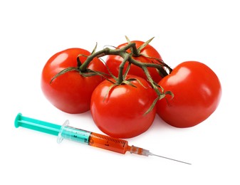 Photo of GMO concept. Fresh tomatoes and syringe isolated on white