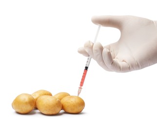 Photo of GMO concept. Scientist injecting something into potatoes against white background, closeup