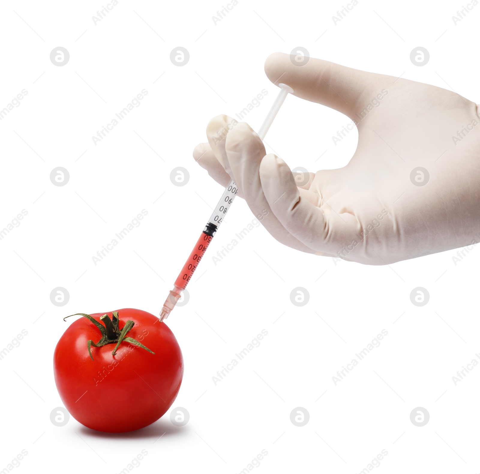 Photo of GMO concept. Scientist injecting something into fresh tomato against white background, closeup