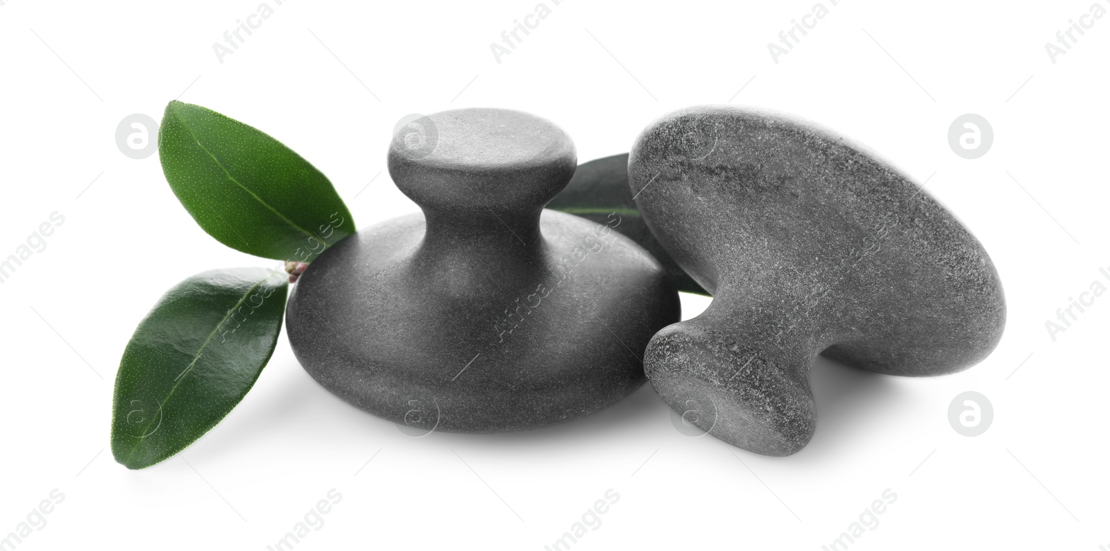 Photo of Two spa stones and green leaves isolated on white