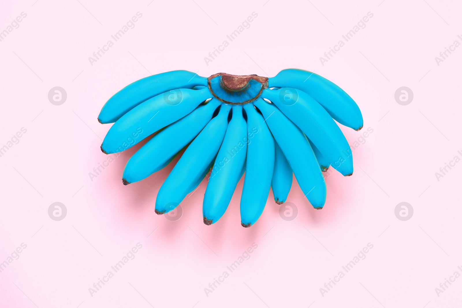 Image of Light blue bananas on pink background, top view