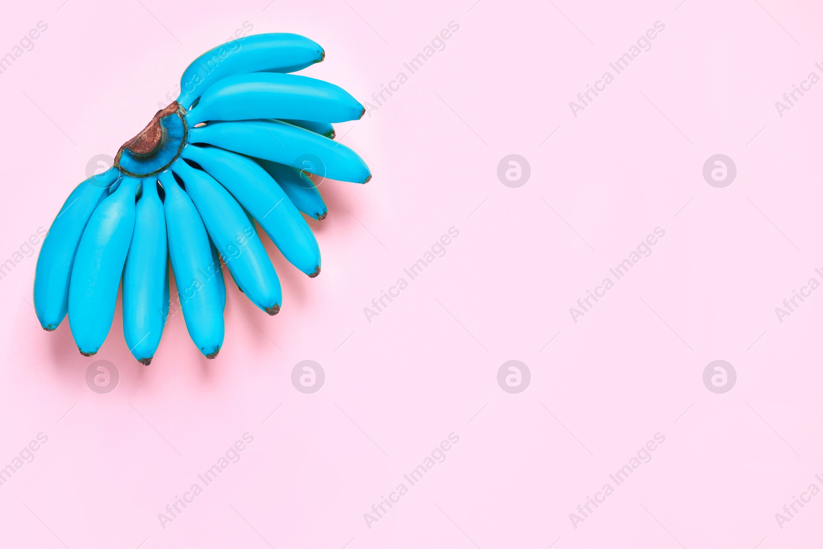 Image of Light blue bananas on pink background, top view. Space for text