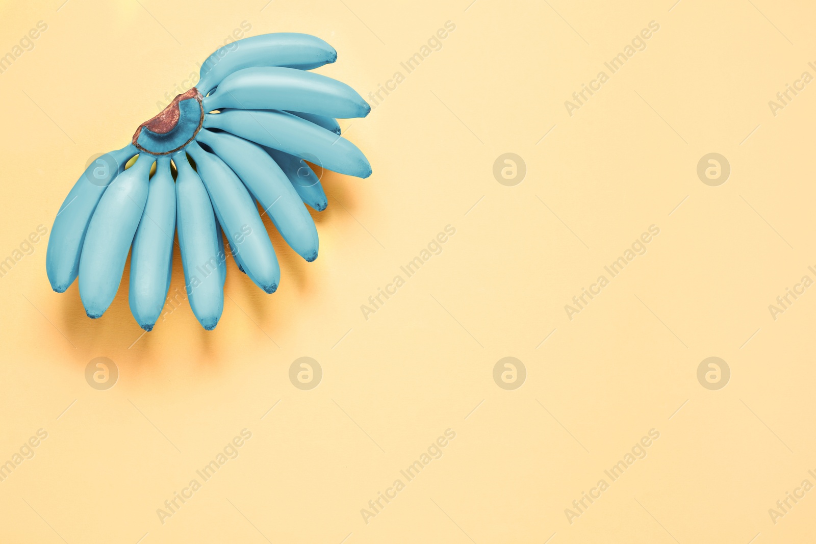 Image of Light blue bananas on yellow background, top view. Space for text