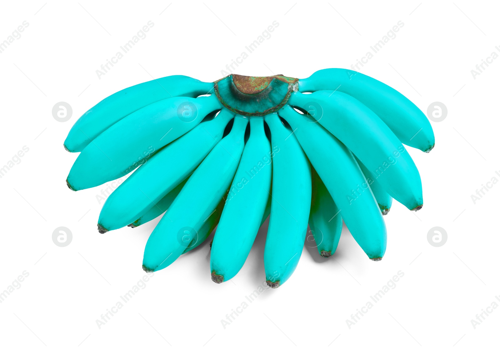 Image of Bunch of light blue bananas on white background