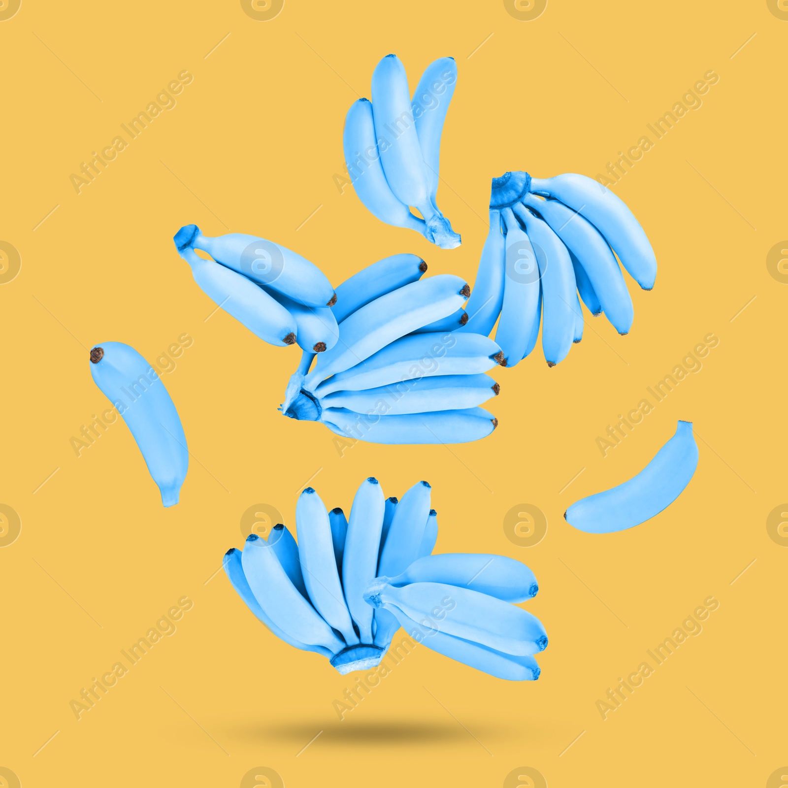 Image of Light blue bananas in air on pale orange background