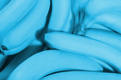 Image of Many fresh light blue bananas as background, closeup