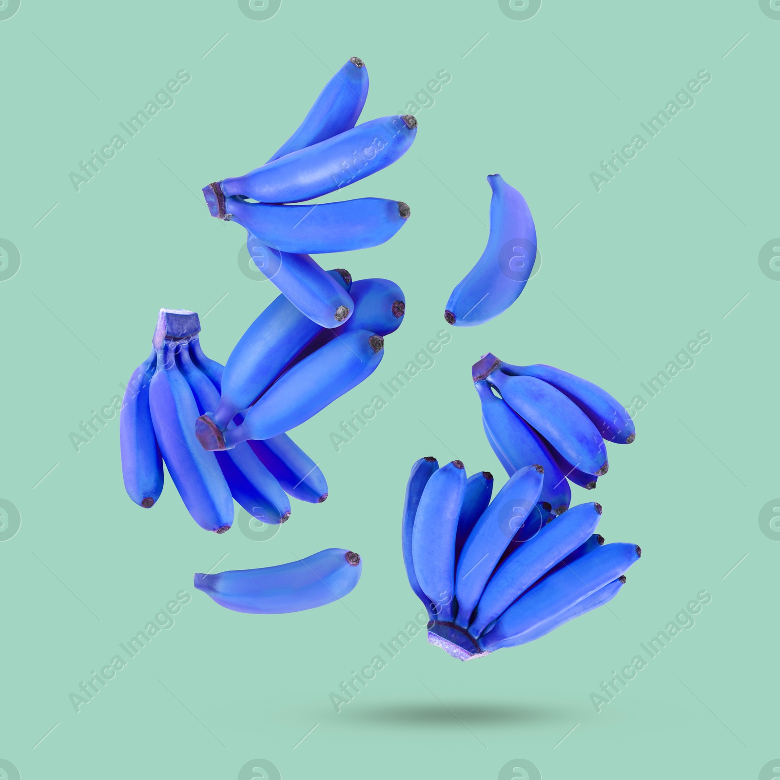 Image of Blue violet bananas in air on light turquoise background