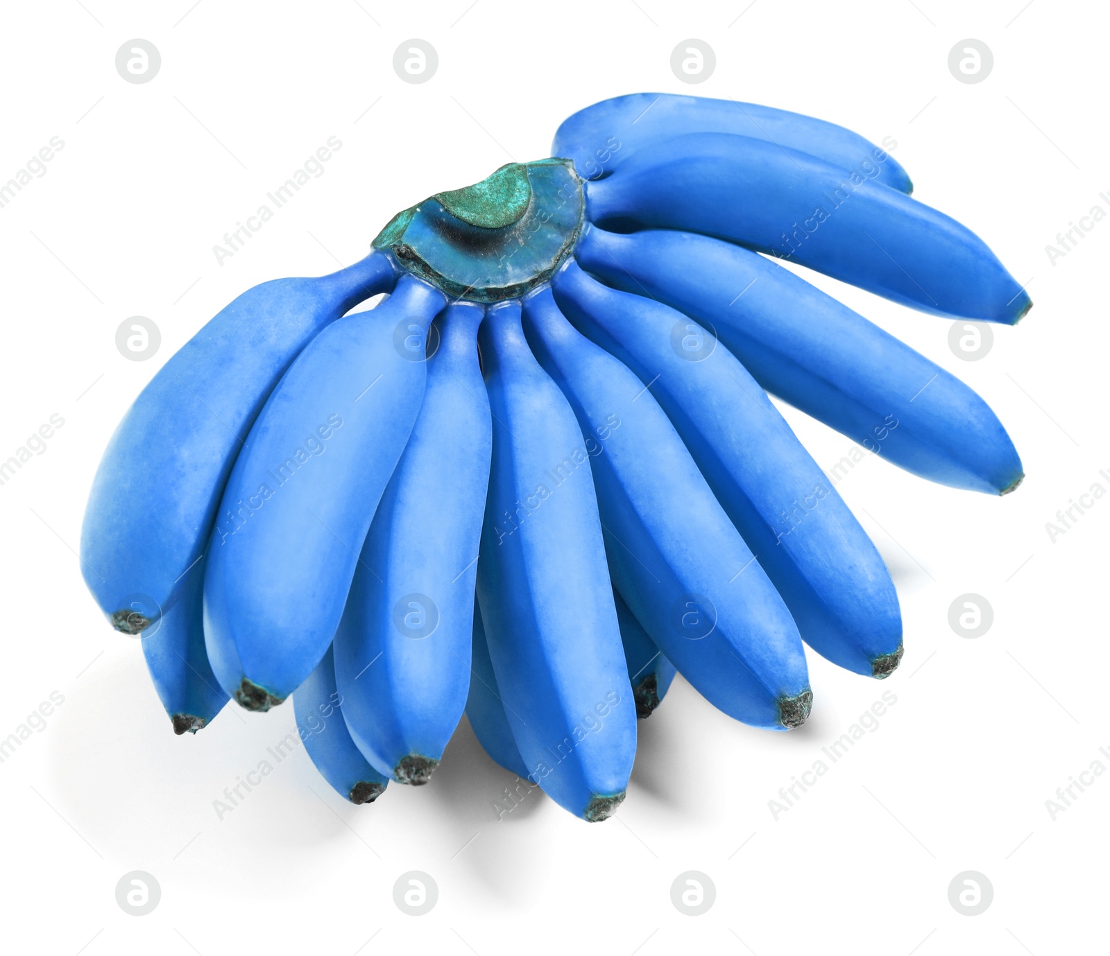 Image of Bunch of light blue bananas on white background