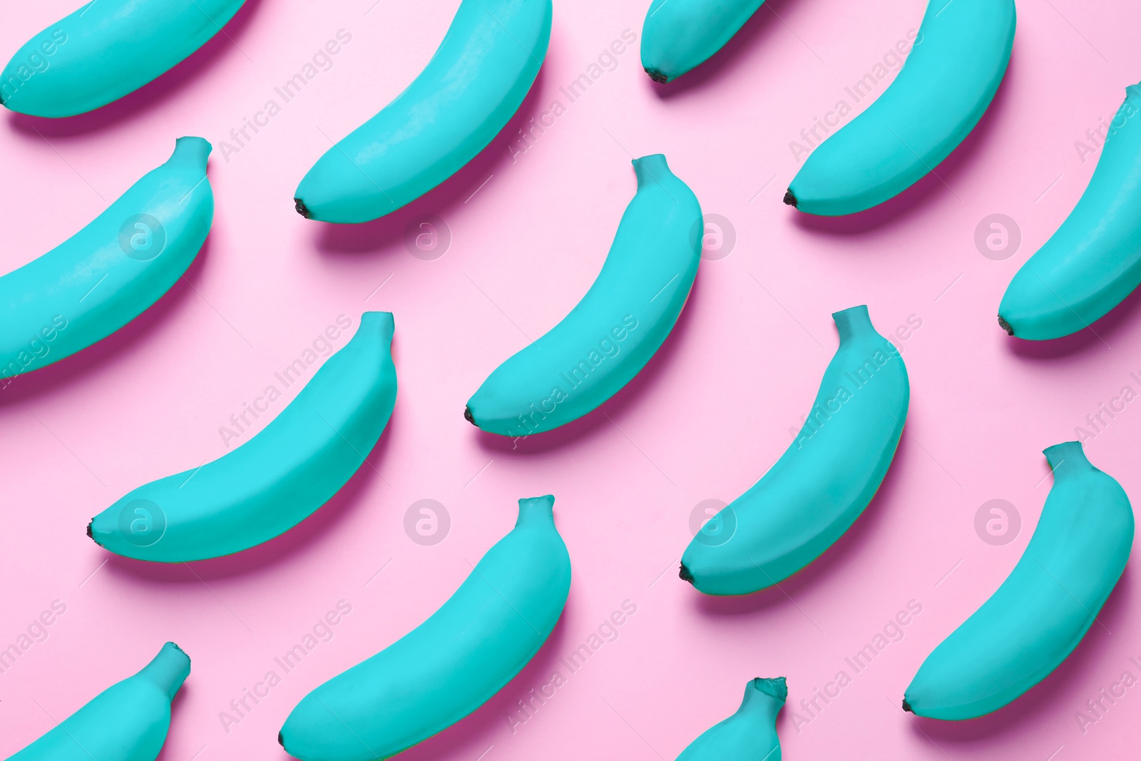 Image of Light blue bananas on pink background, top view