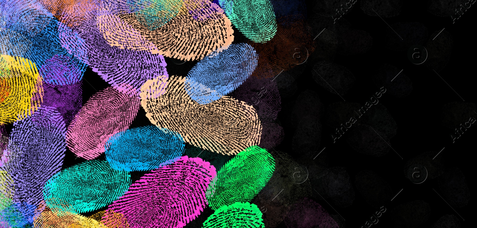 Image of Fingerprints of different colors on black background. Banner design with space for text