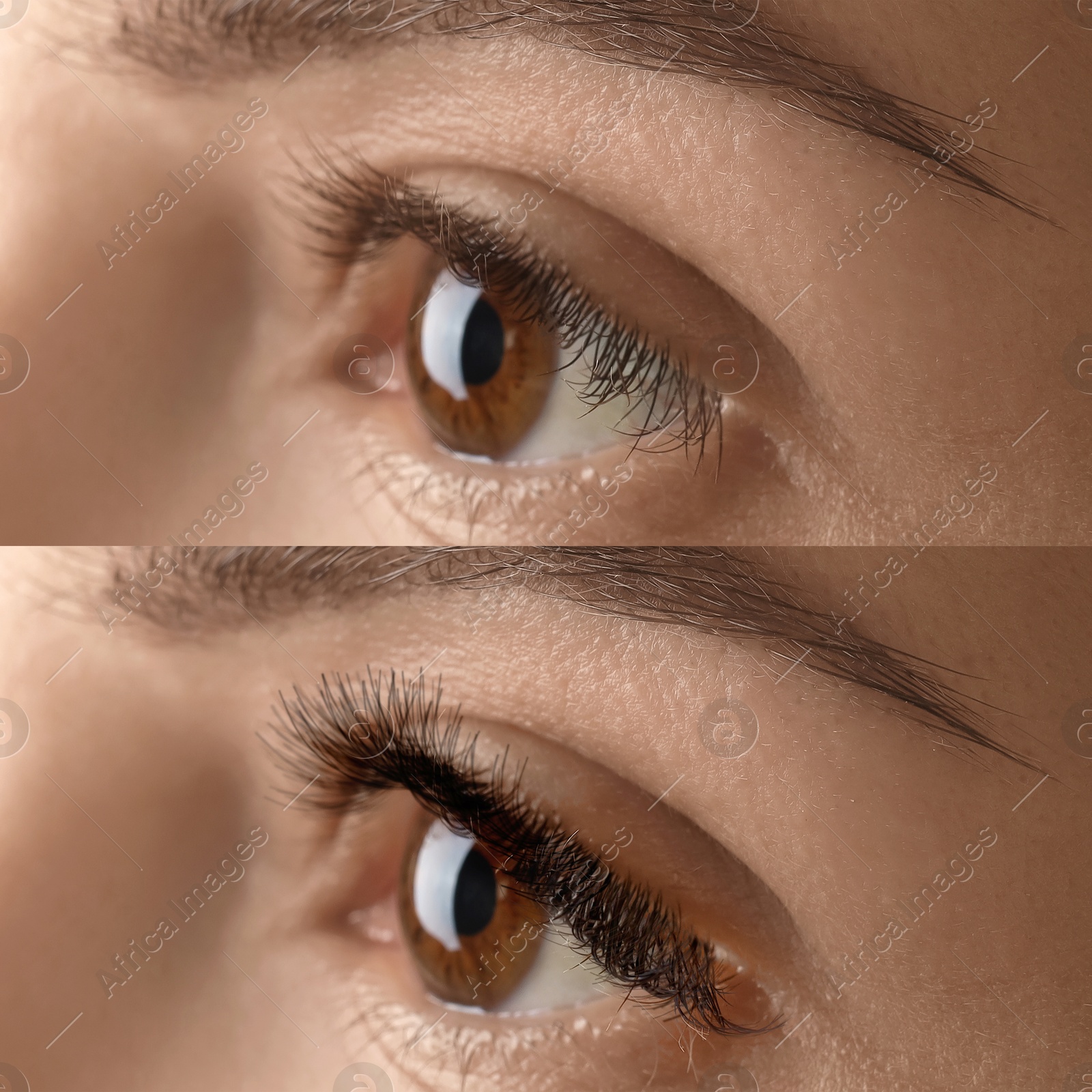 Image of Woman before and after eyelash extensions, closeup. Collage