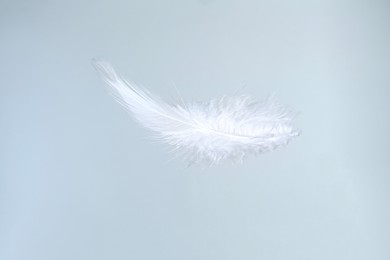 Photo of One beautiful fluffy feather isolated on white